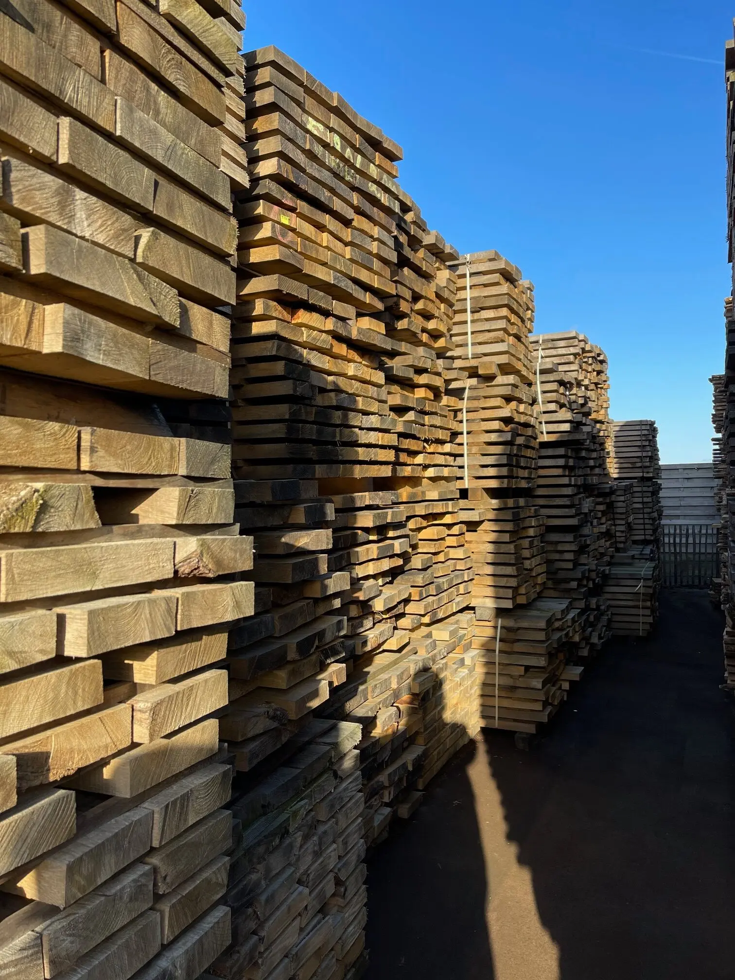 Oak planks